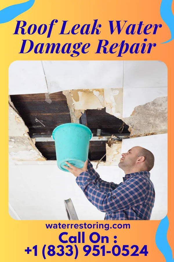 Roof Leak Water Damage Repair in Kingsville, TX